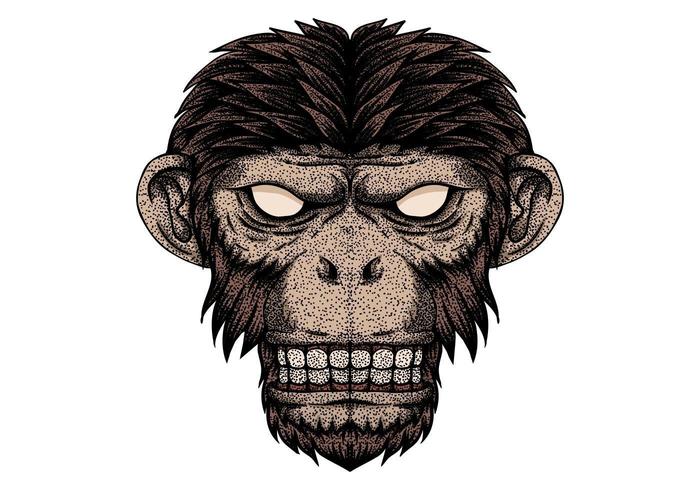 Monkey head dot vector 