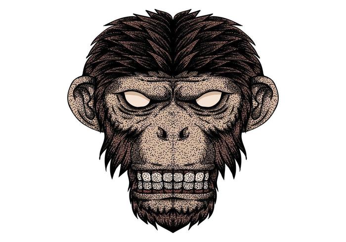 Monkey head dot vector 