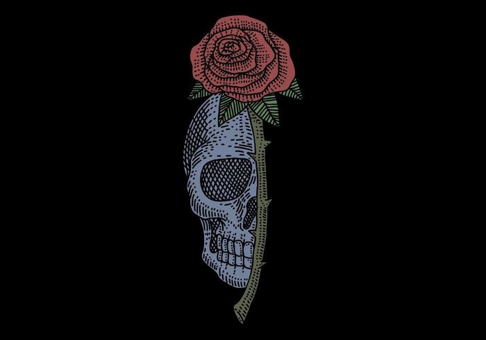 Diseno Vintage De Calavera Rosa Descargar Vectores Gratis Illustrator Graficos Plantillas Diseno 12:41 jason ramos recommended for you. diseno vintage de calavera rosa