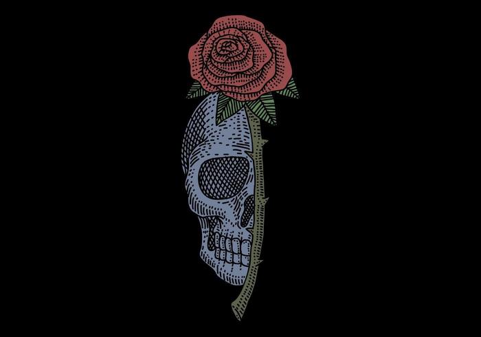 skull rose vintage design vector