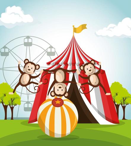 espectáculo de circo de monos vector