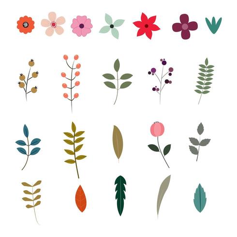 Floral elements collection vector