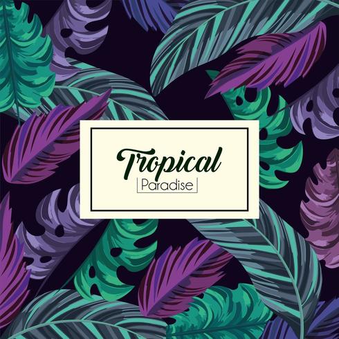 tropical exotic leaves background vector