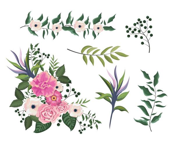set roses and flowers plants with branches leaves vector