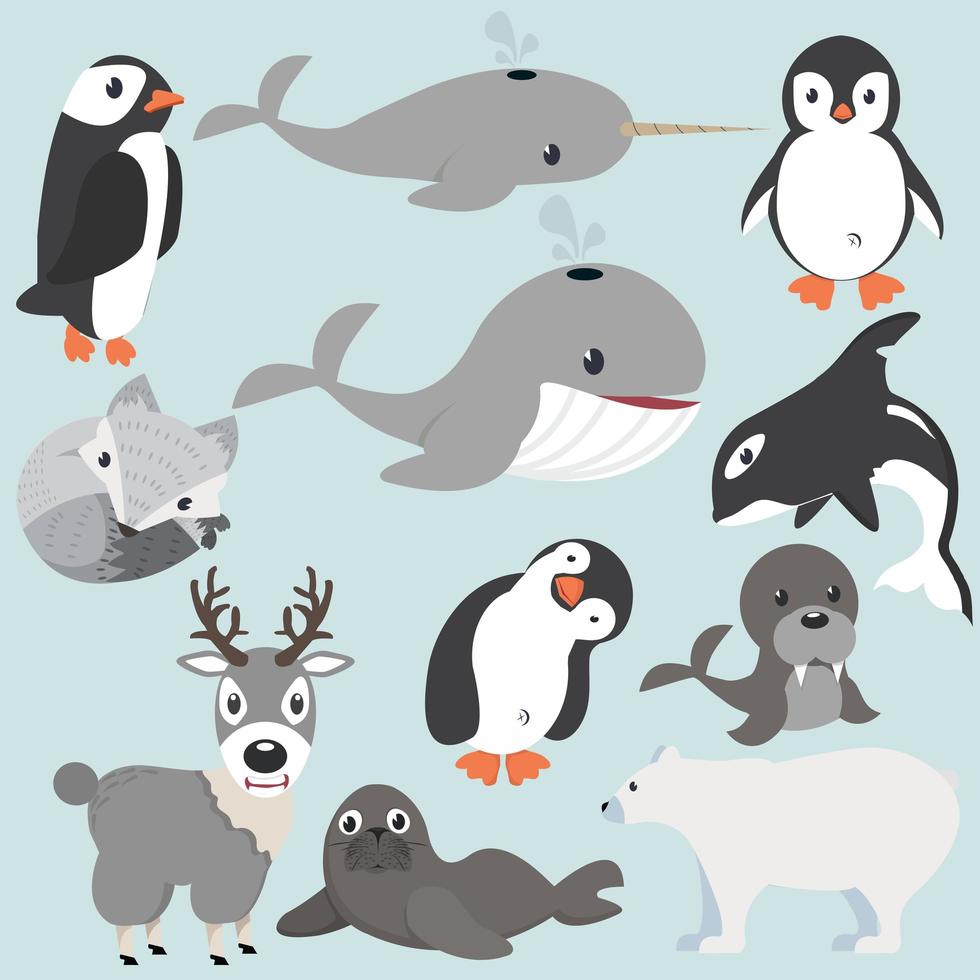 Artic animals cartoon collection vector