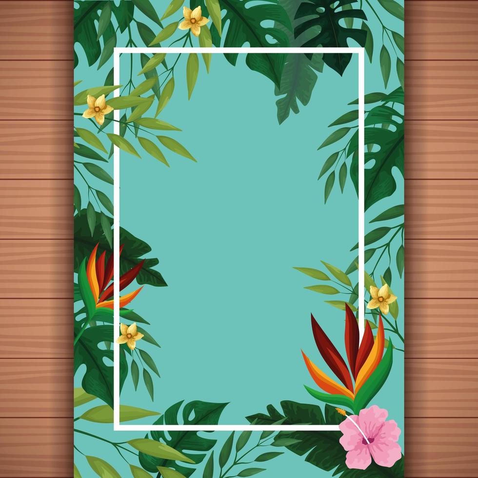 Summer blank card on wooden background vector