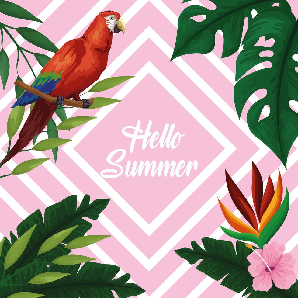 Hello summer poster card vector
