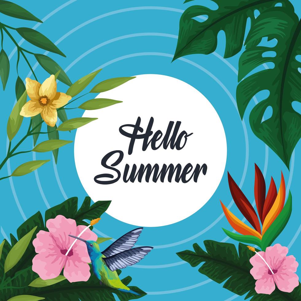 Hello summer poster card vector