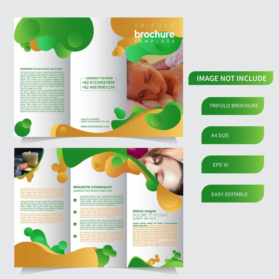 6 page trifold brochure template with liquid style vector