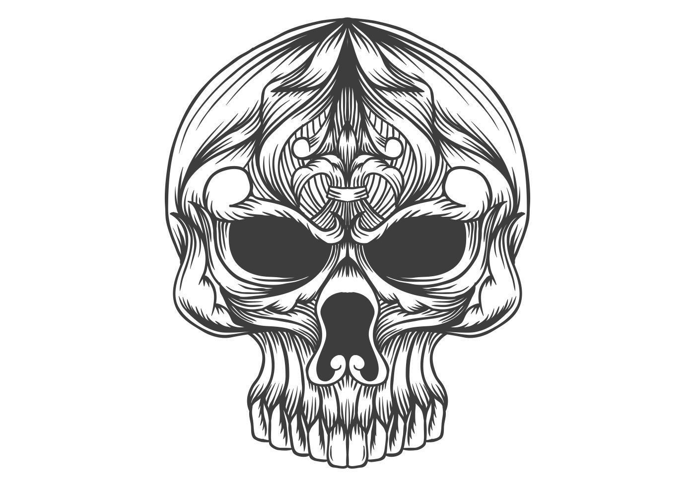 skull head decoration vector illustration