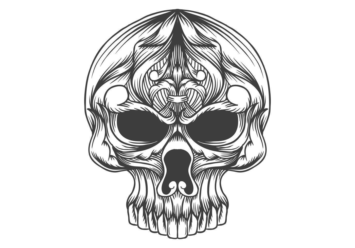 skull head decoration vector illustration