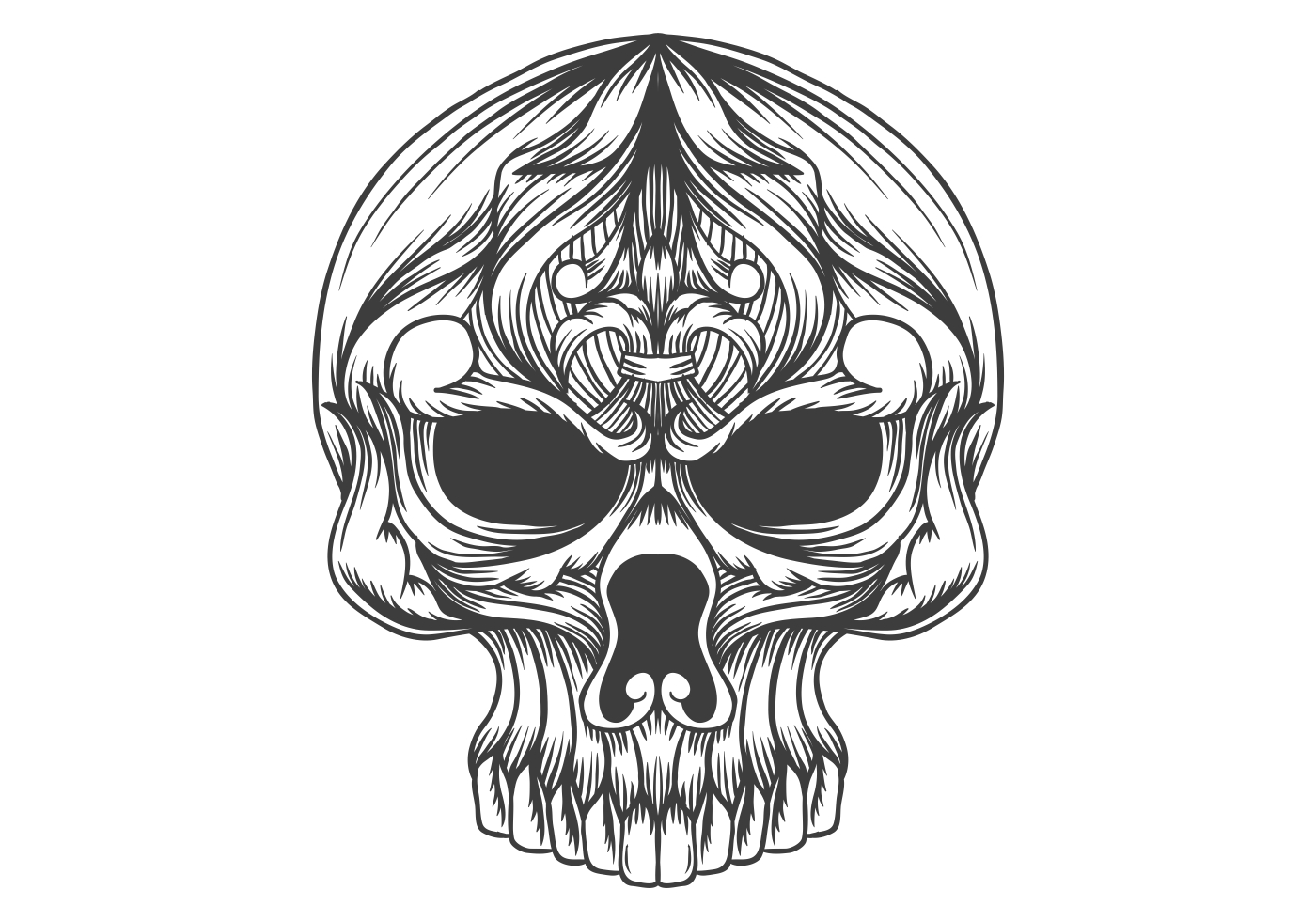Download skull head decoration vector illustration 691604 - Download Free Vectors, Clipart Graphics ...