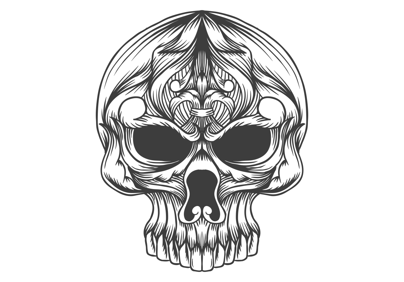 Download skull head decoration vector illustration 691604 - Download Free Vectors, Clipart Graphics ...