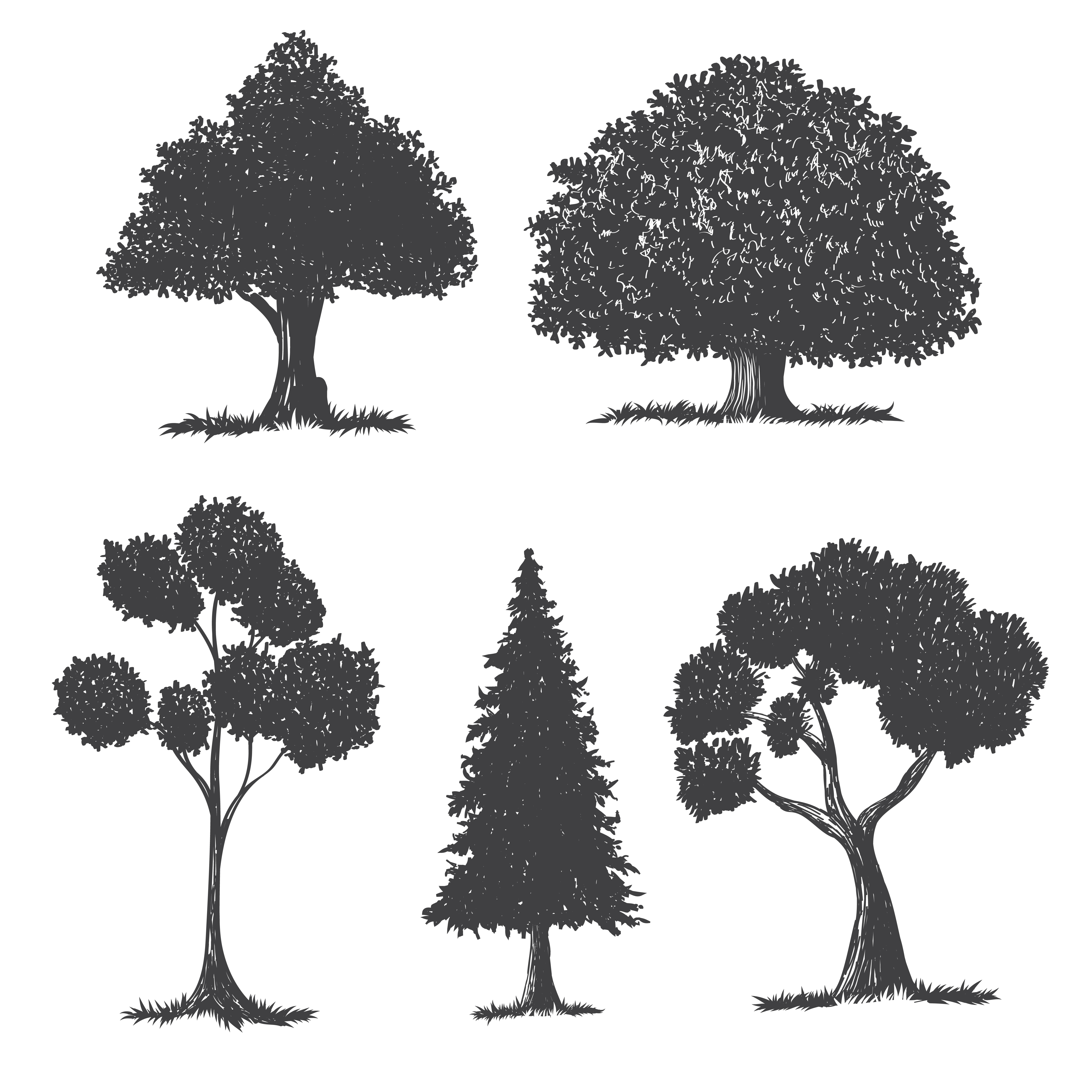 Tree Silhouette Drawing Set Download Free Vectors Clipart Graphics Vector Art