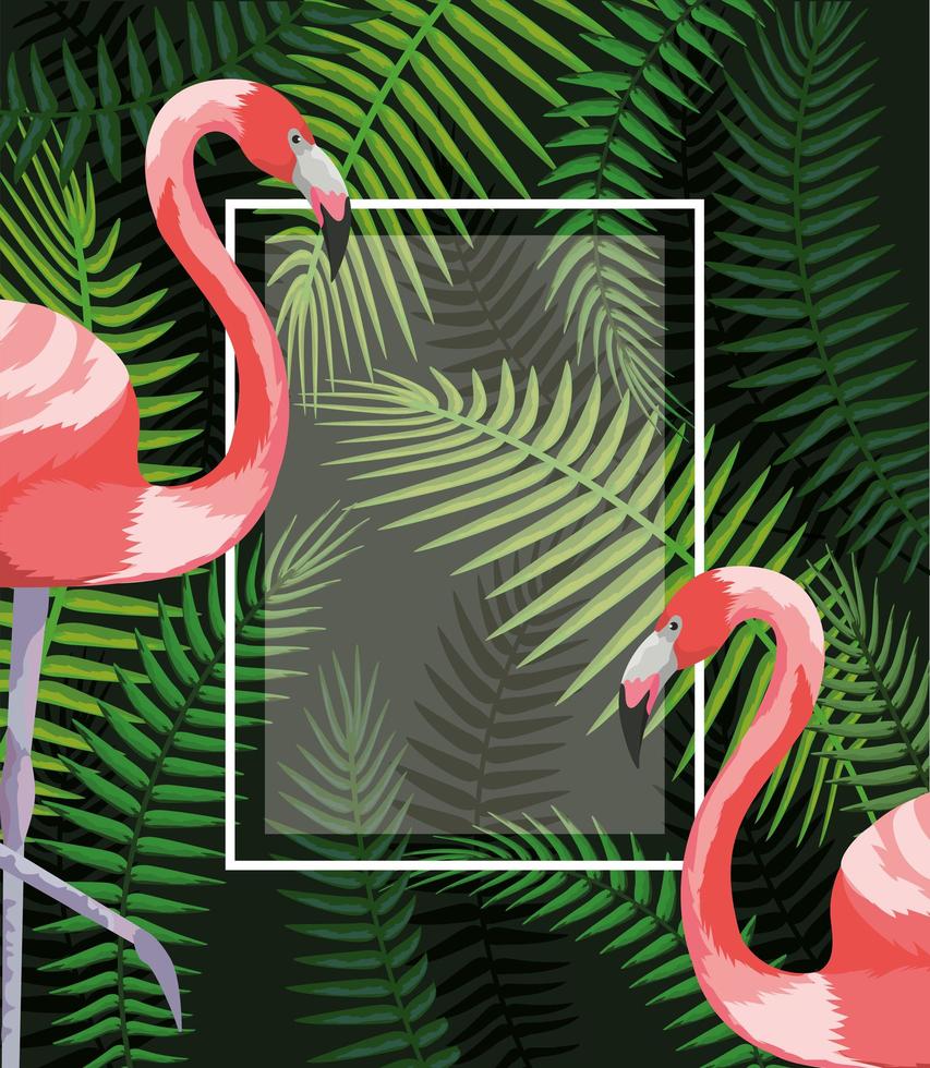 square frame with flamingos and branches leaves vector