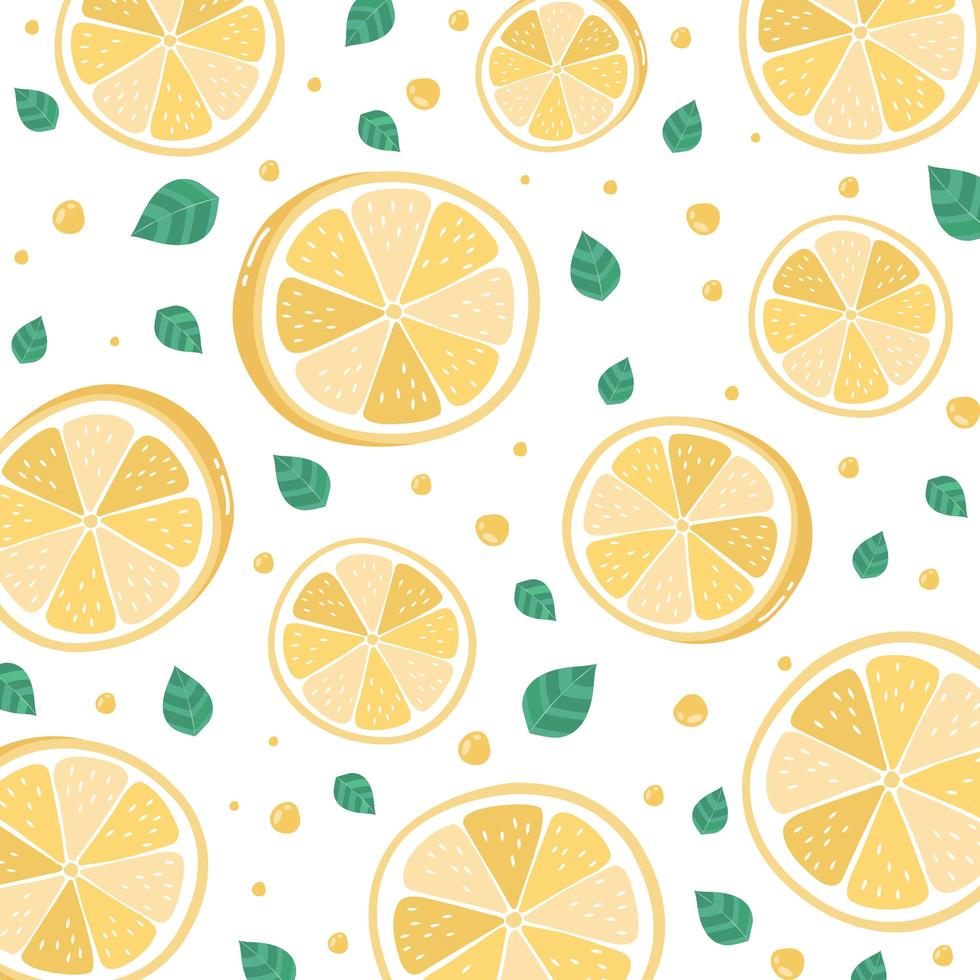 lemon slices pattern on white vector