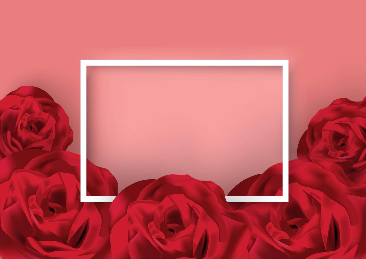 Valentines day white frame surrounded by roses vector