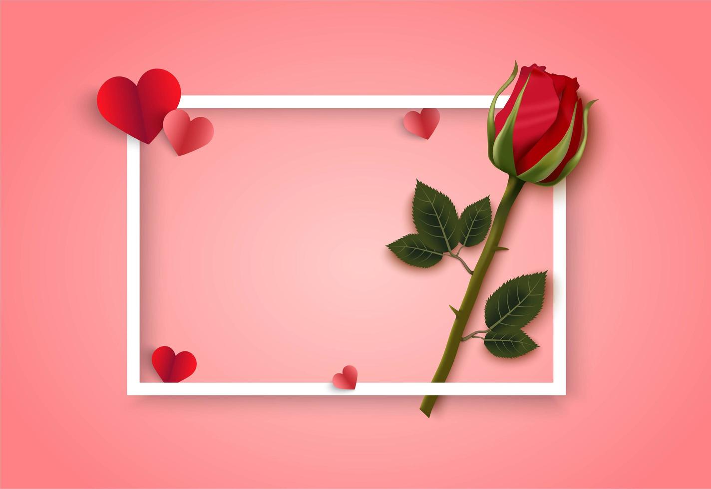 Valentines day pink background with white frame, hearts and rose vector