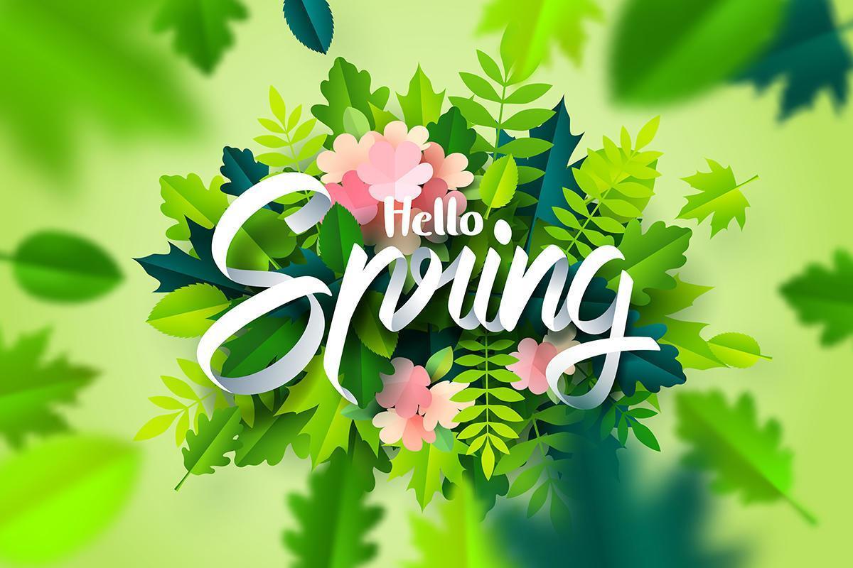 Arte en papel de la caligrafía Hello Spring en hojas y flores dentro y fuera de foco vector