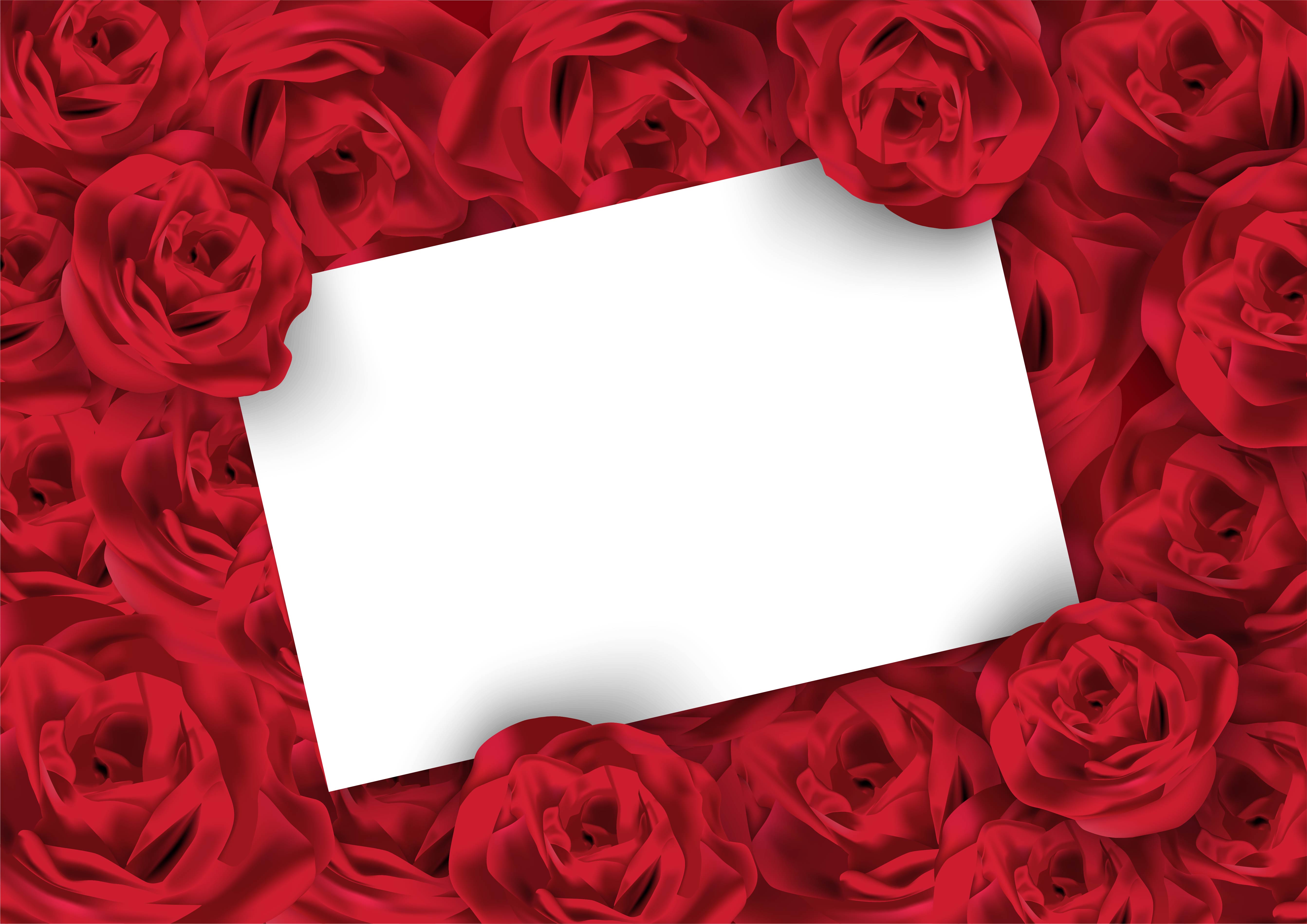 Valentines day rose background with white blank card 692571 Vector Art at  Vecteezy