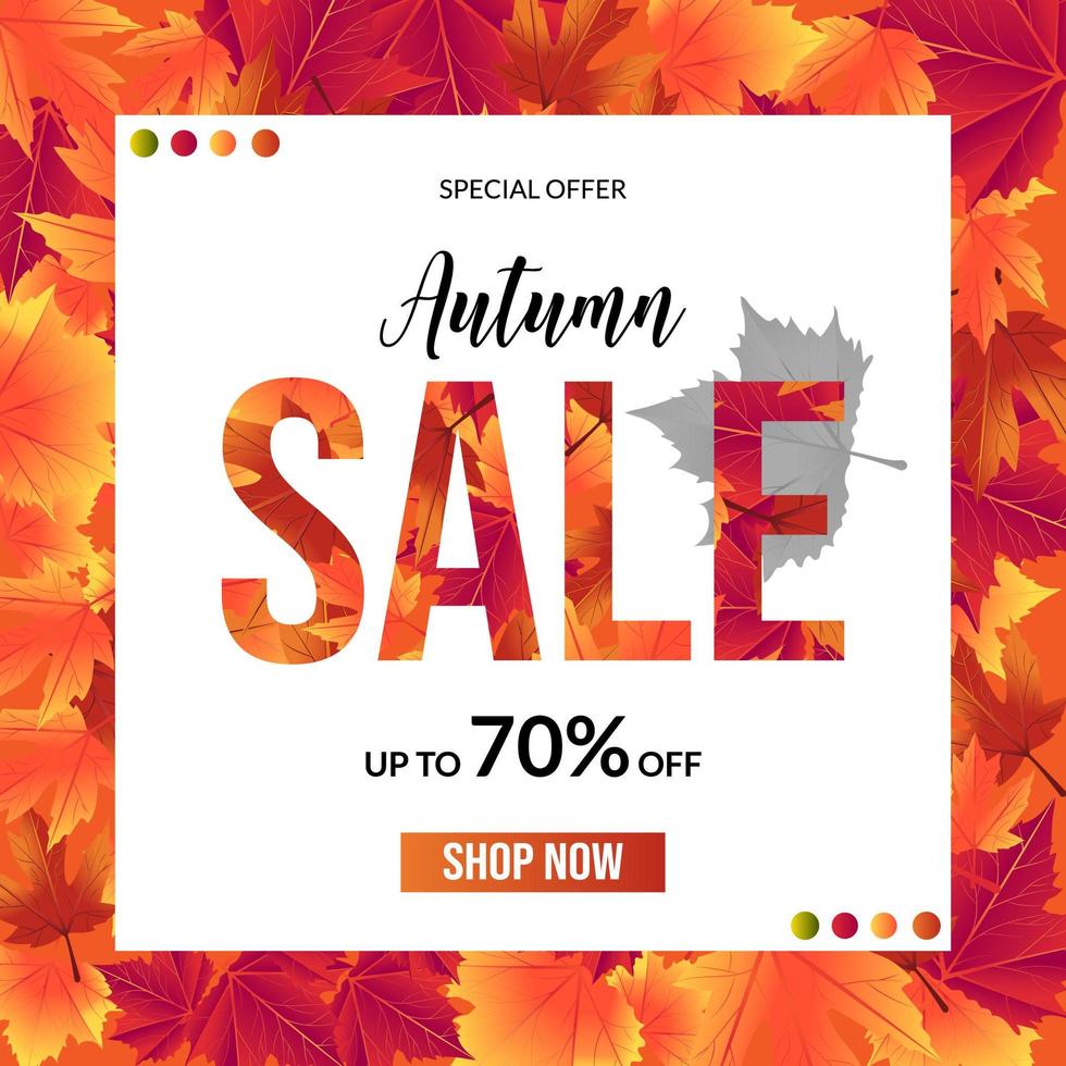 Autumn sale leaf background with white square for text vector