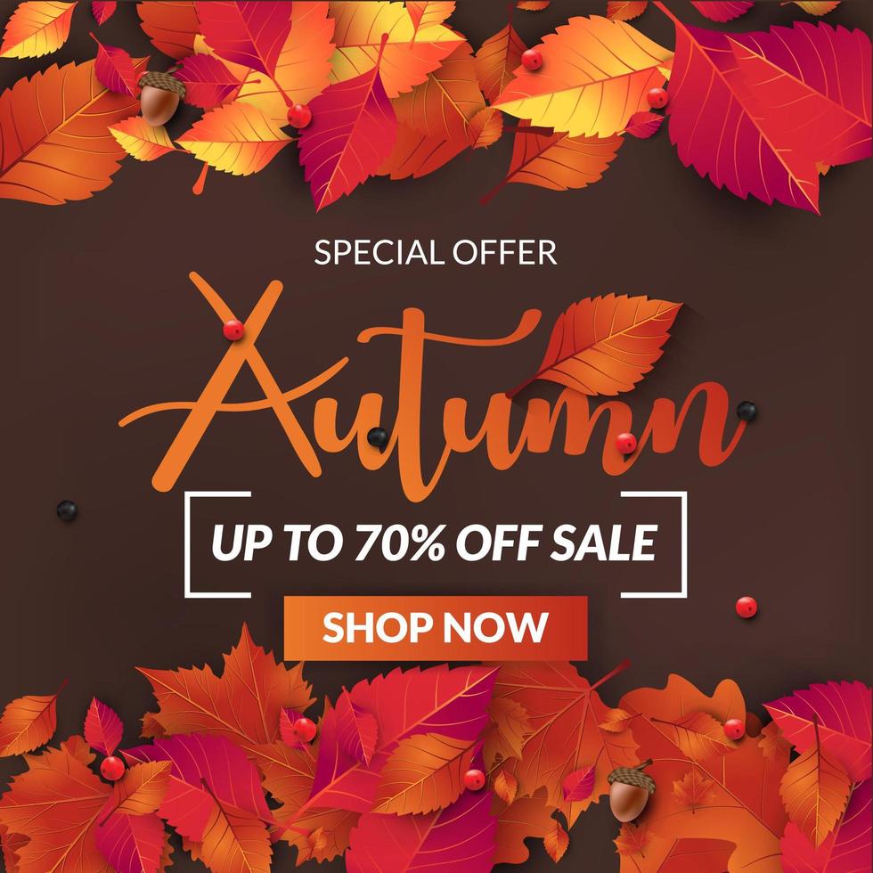 autumn sale banner background with fall leaves vector