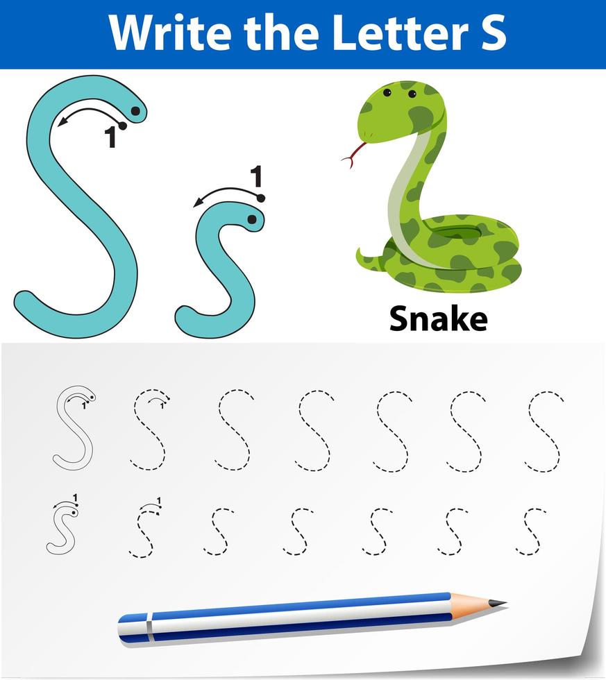 Letter S tracing alphabet worksheets vector