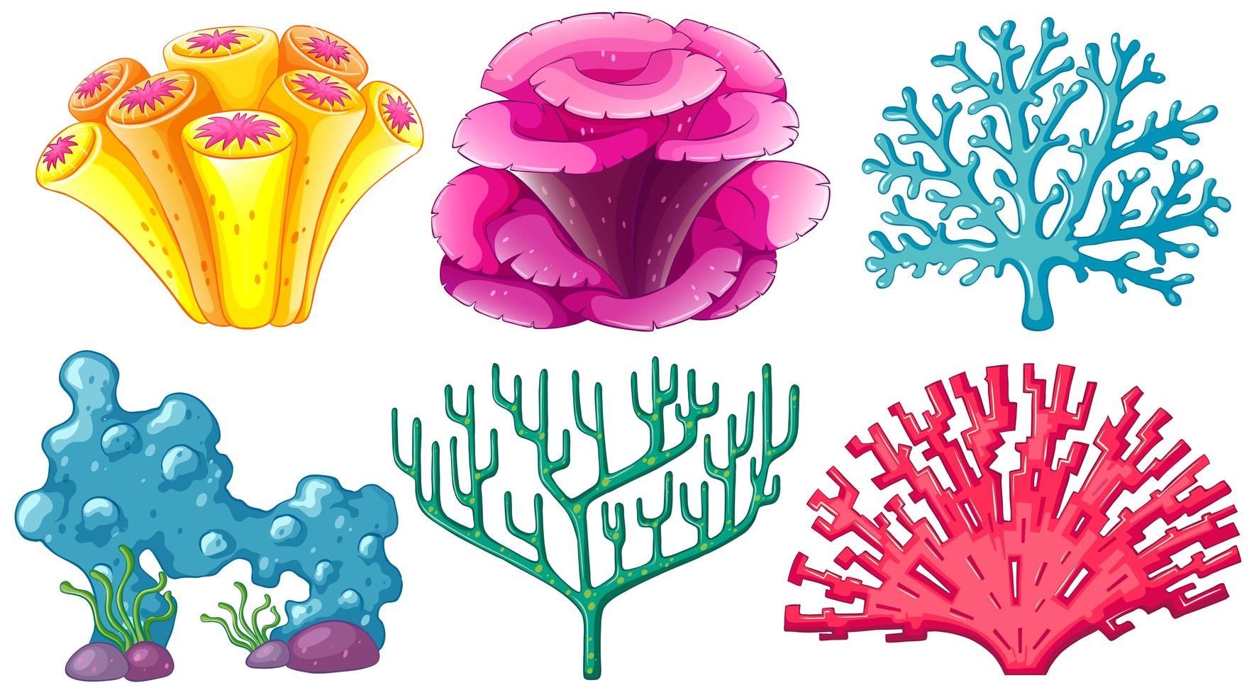 Diferentes tipos de arrecifes de coral. vector