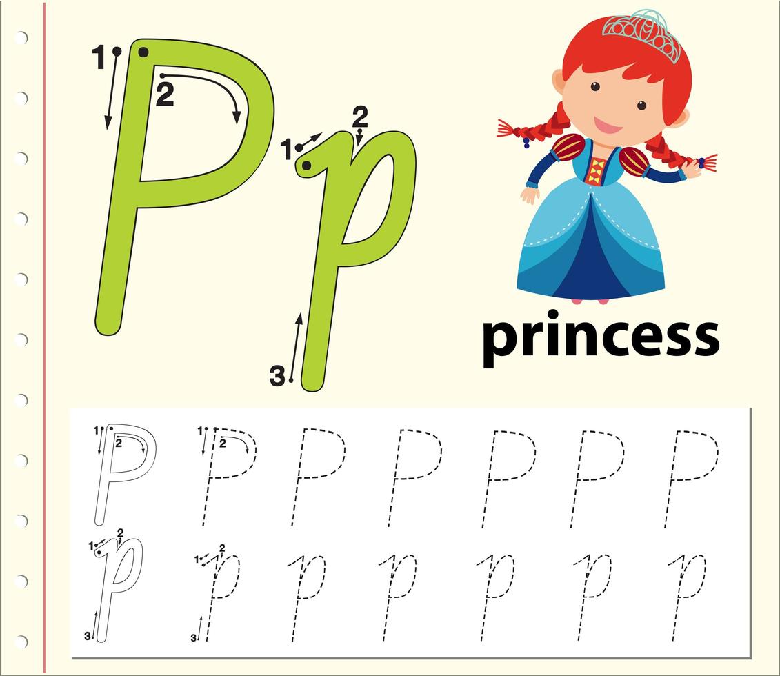 Letter P tracing alphabet worksheets vector