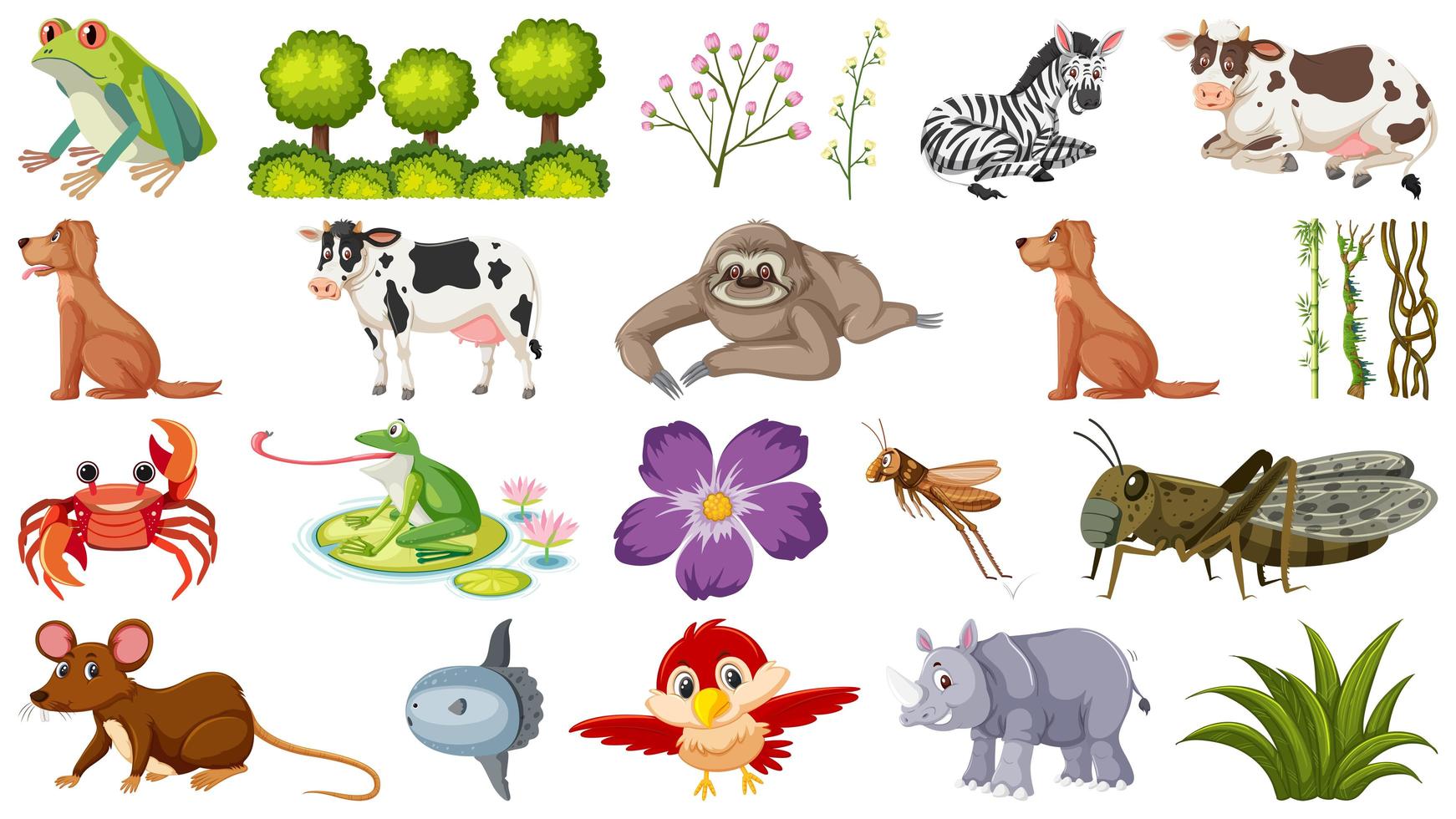 Conjunto de diferentes animales y plantas. vector