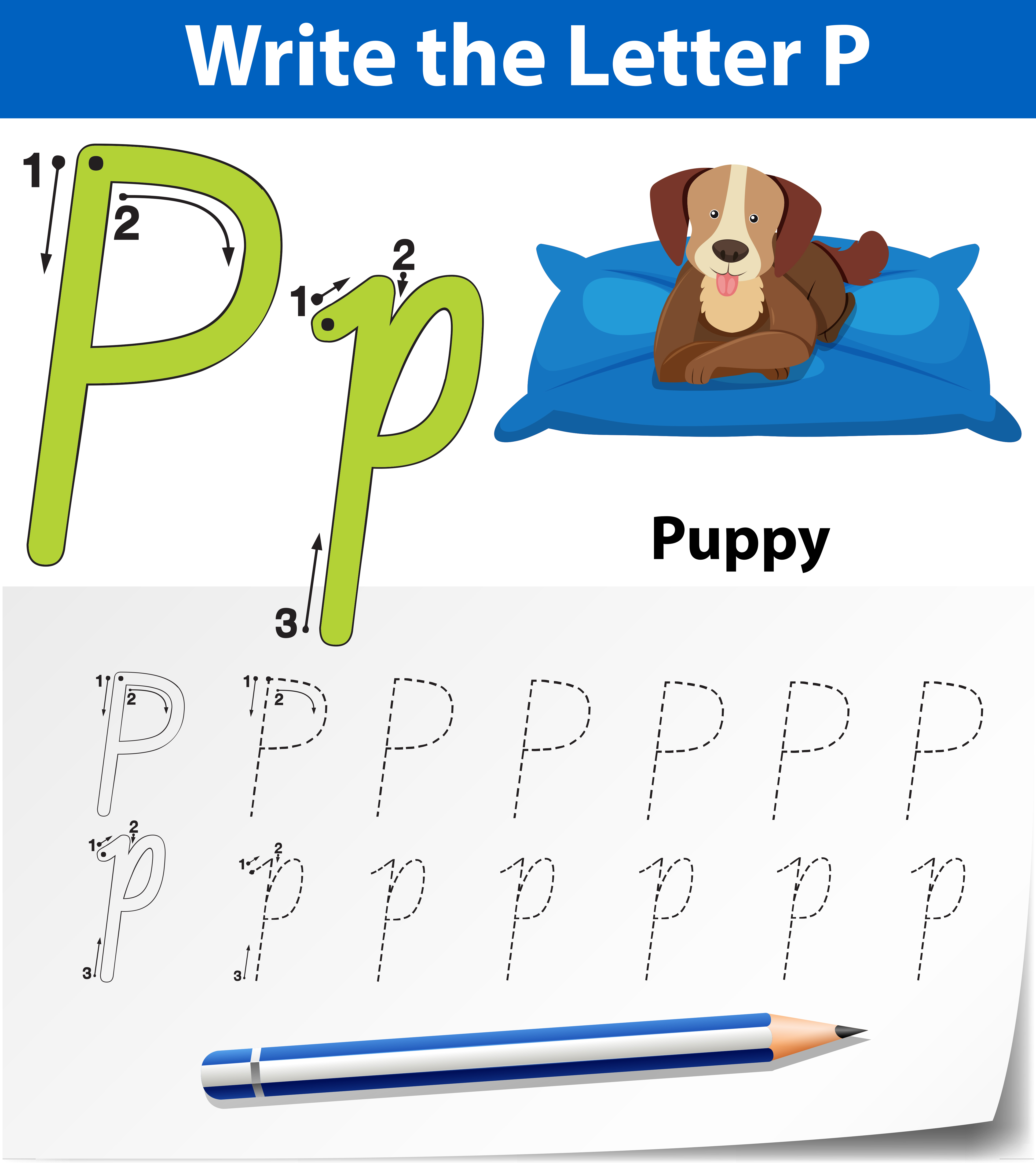 letter-p-tracing-worksheets