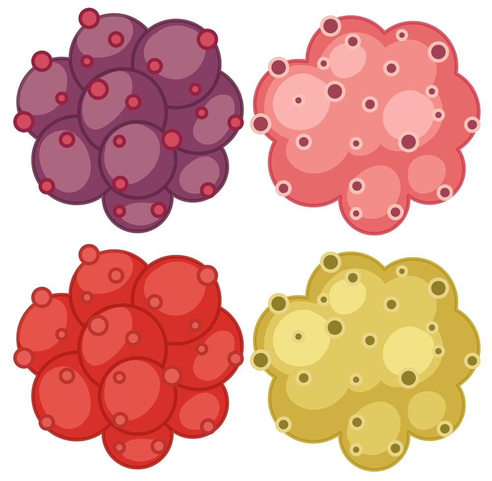 Set of different bacteria vector