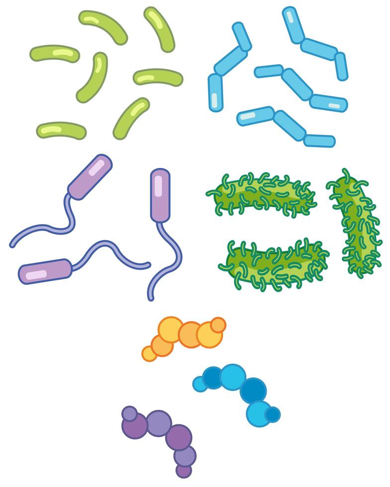 A Set of Bacteria vector