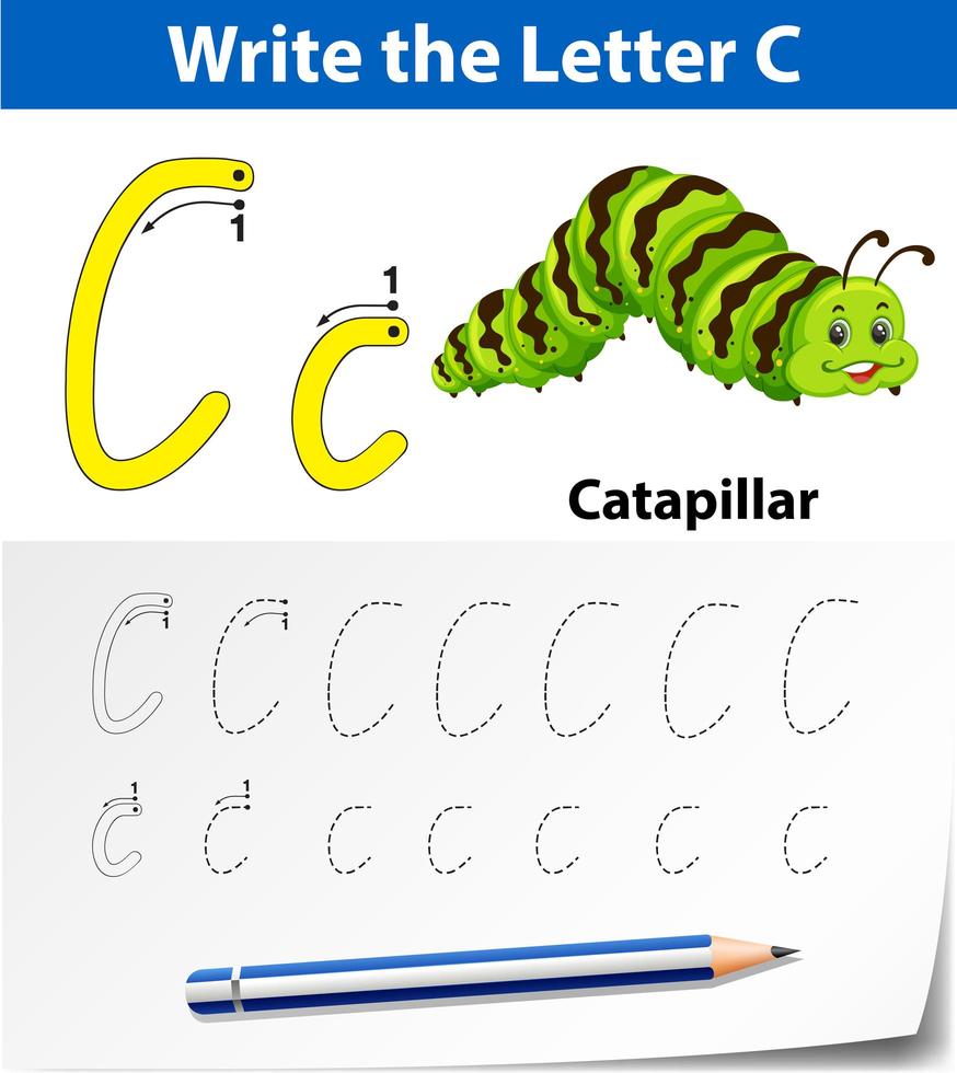 Letter C tracing alphabet worksheets vector