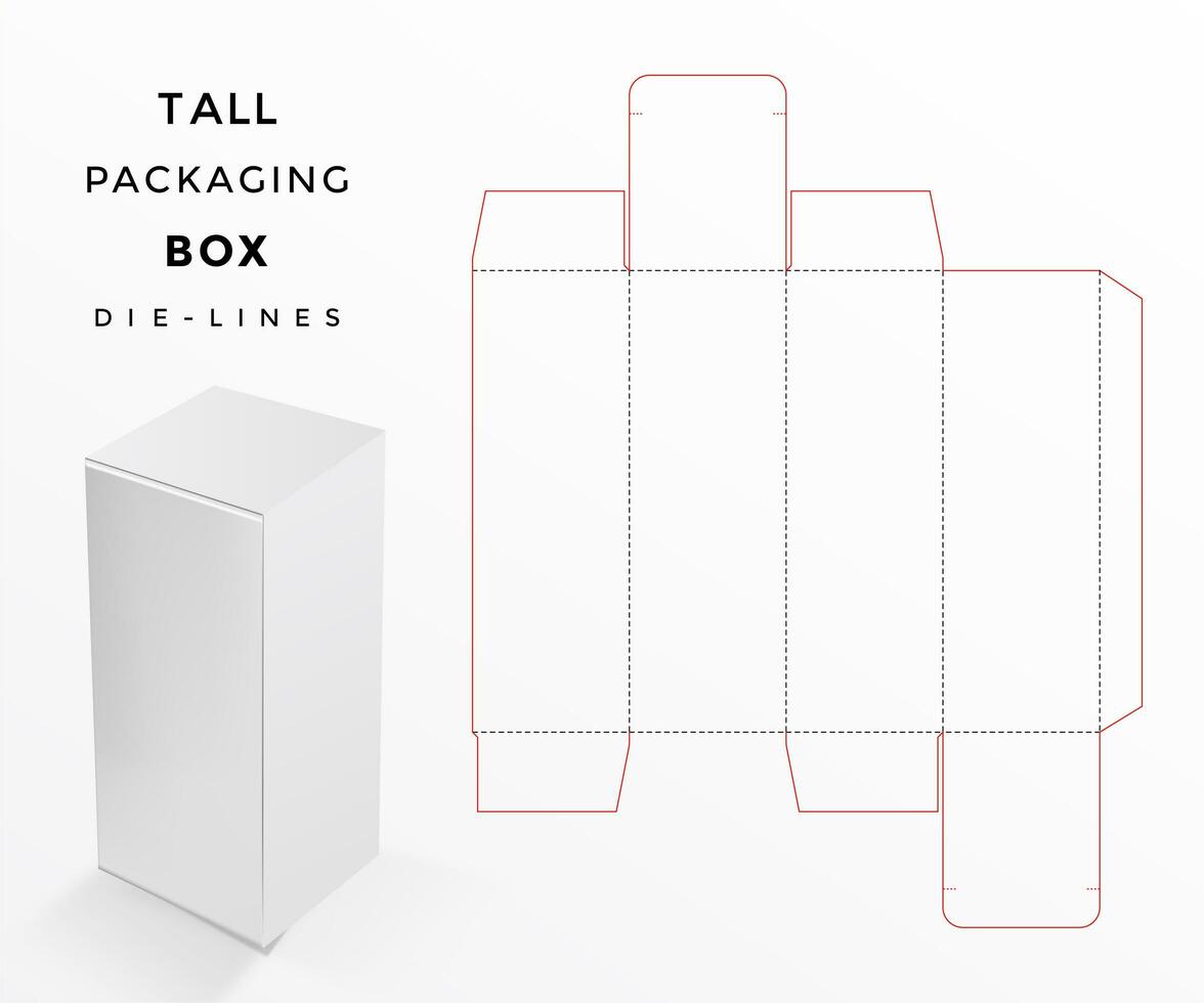 tall packaging box die lines vector