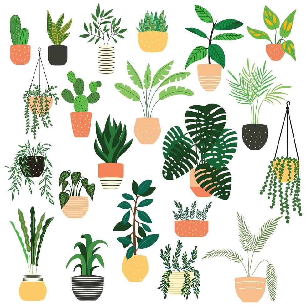 Colección de plantas de interior dibujadas a mano en blanco vector