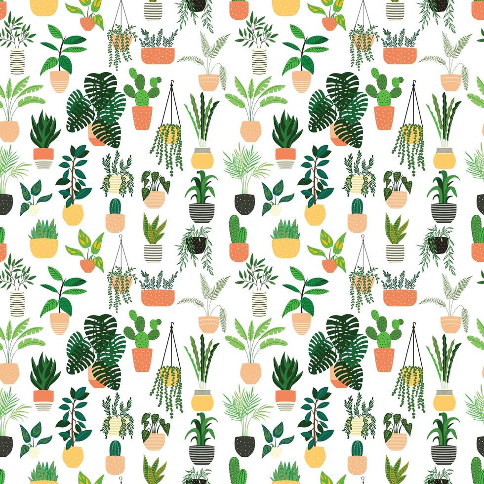 Seamless pattern with collection of drawn indoor house plant vector