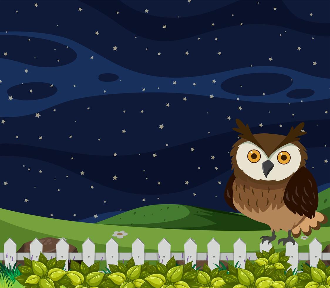 Owl at night scene vector