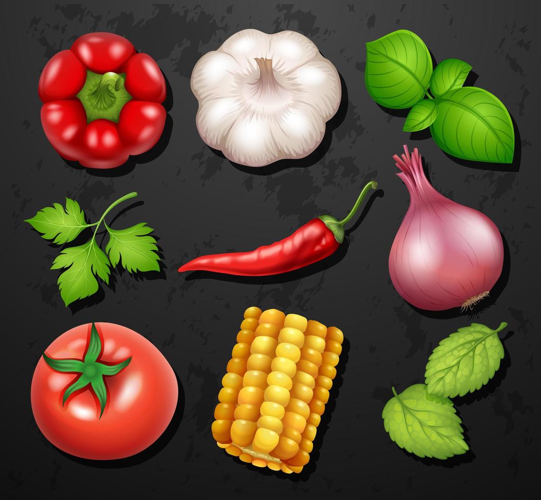 Variedad de diferentes verduras y hierbas. vector