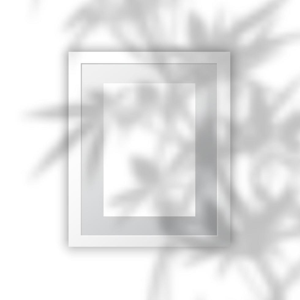 Blank picture frame with plant shadow overlay vector