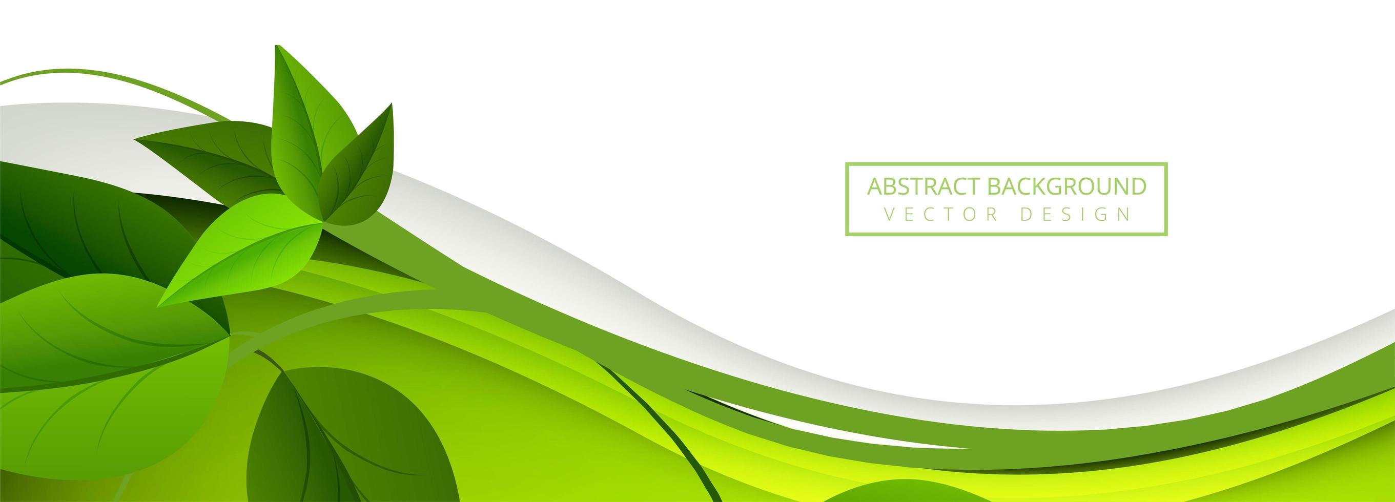 Abstract green  leaves wave banner  background  Download 