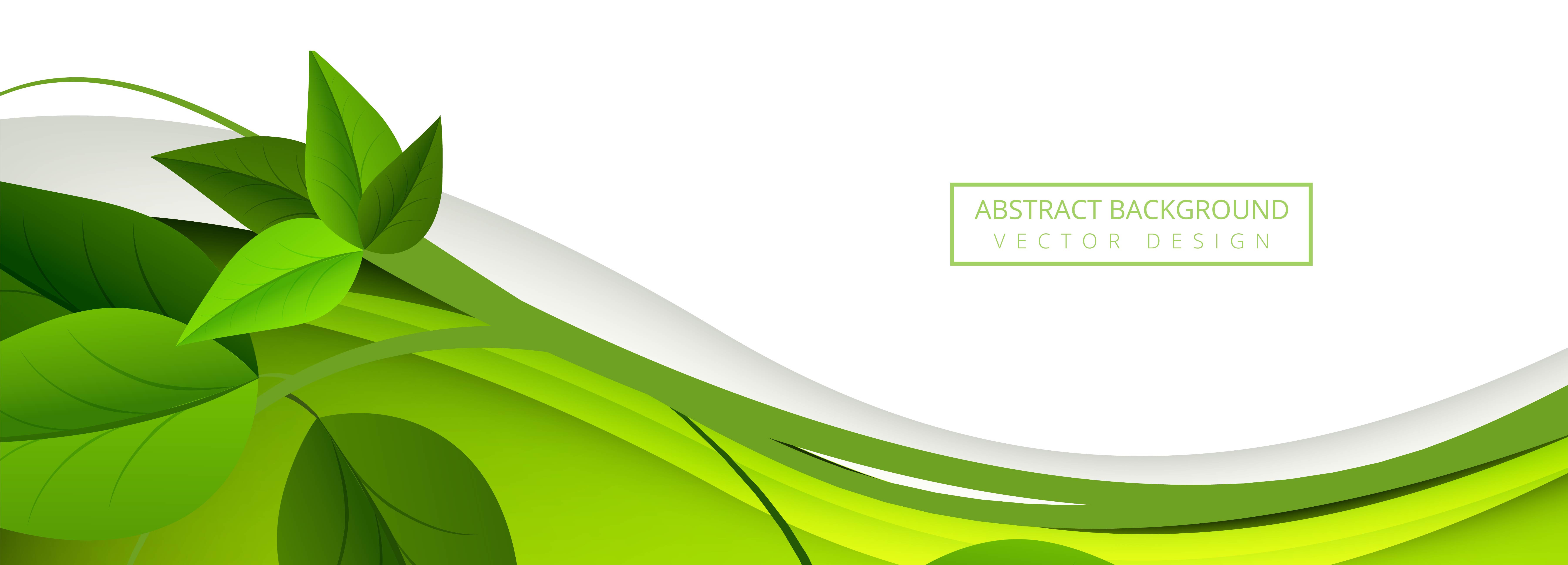 Abstract green leaves wave banner background  694616 