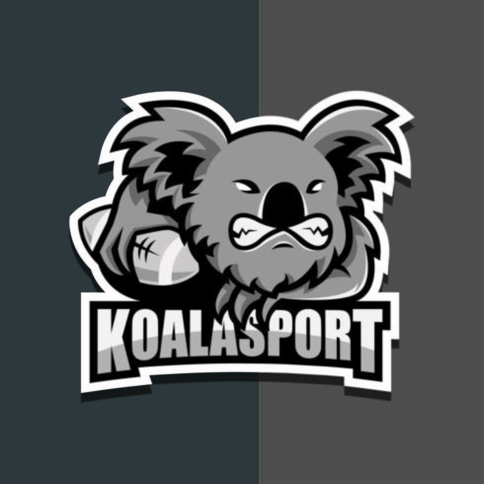 mascota koala para equipo vector