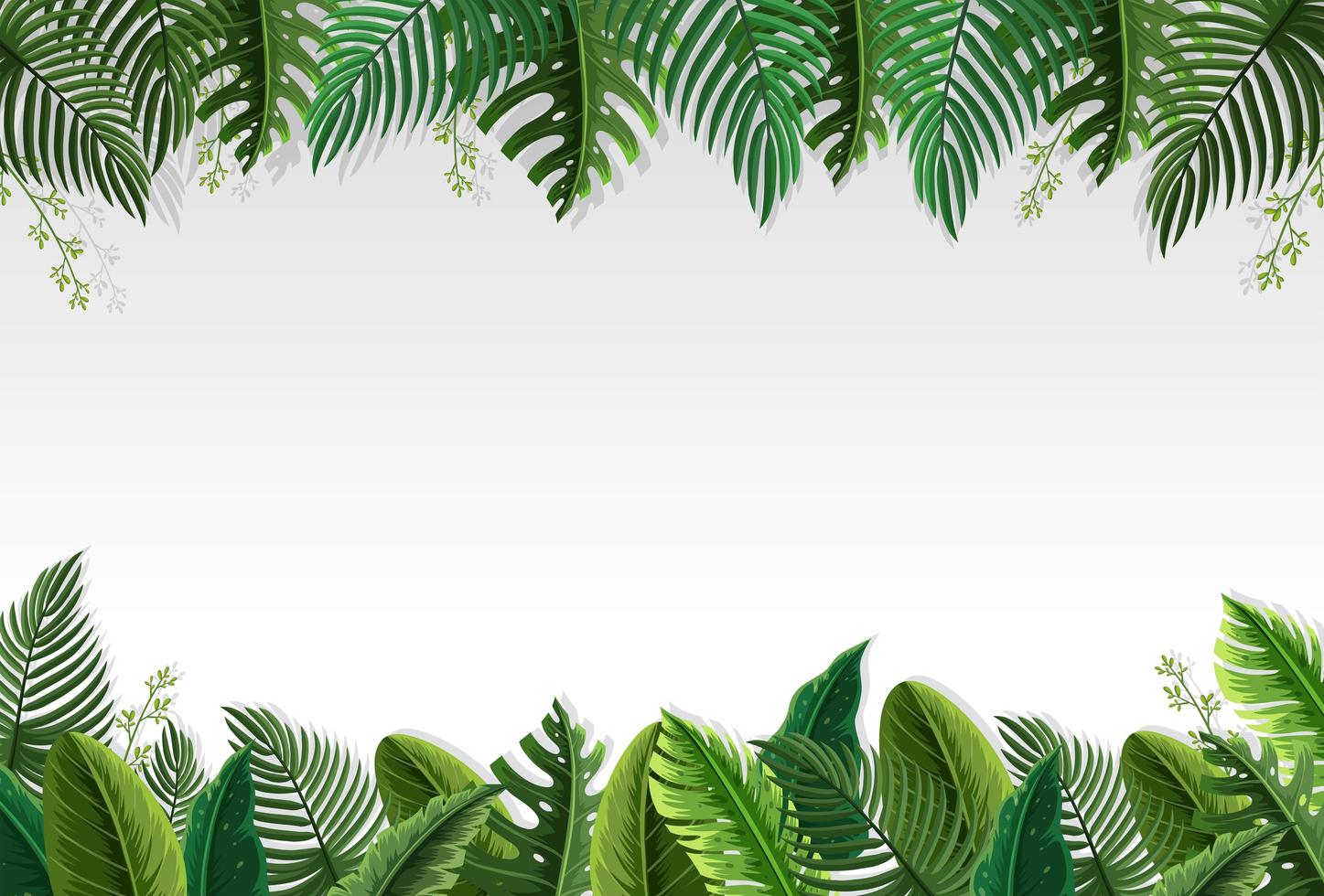Beautiful palm leaf border vector