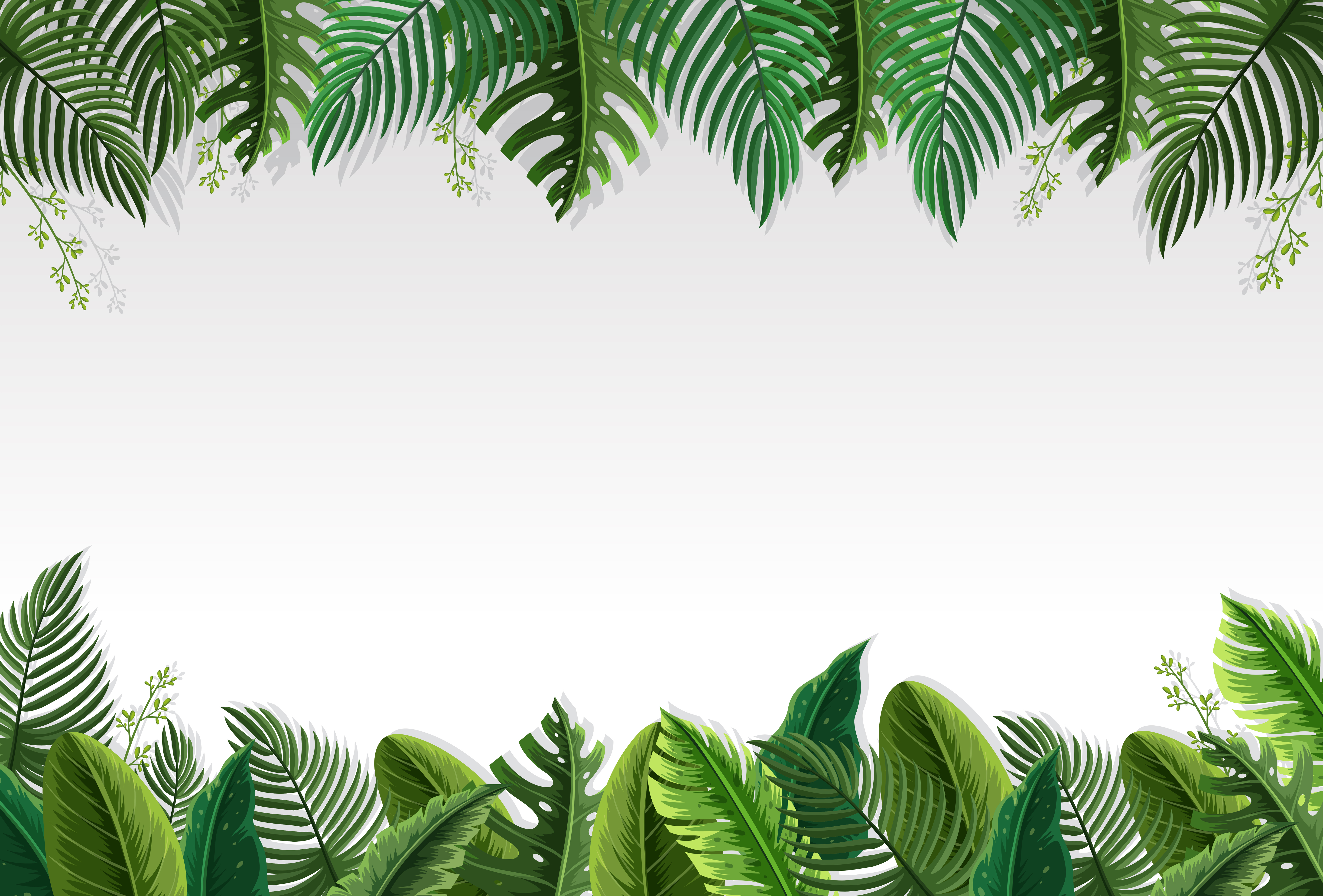 Download Palm Leaf Border Free Vector Art - (130 Free Downloads)
