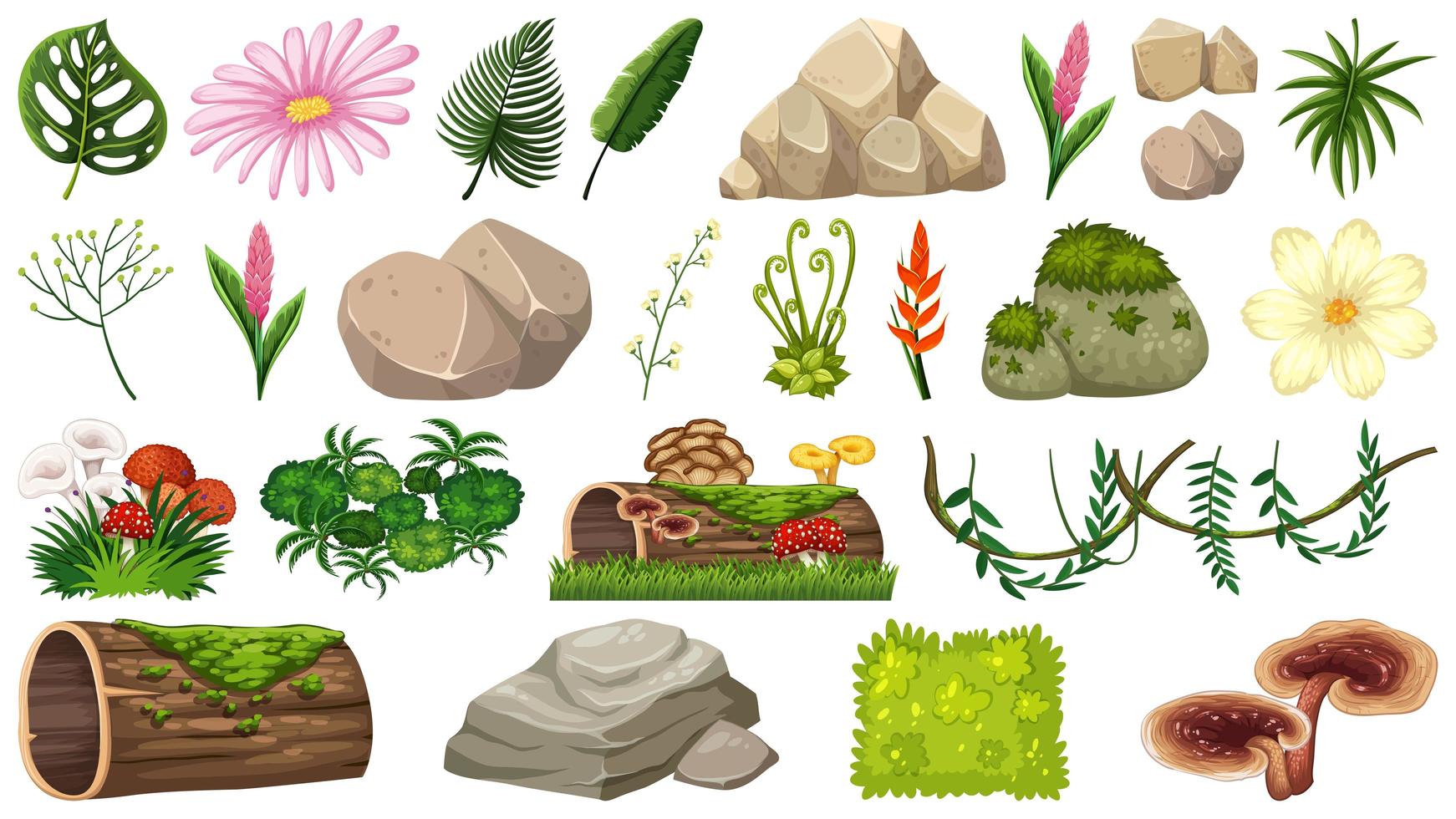 Set of nature objects vector