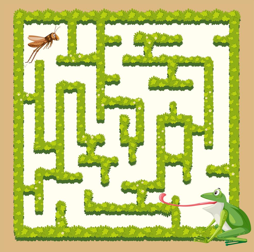 A frog finding grasshopper vector