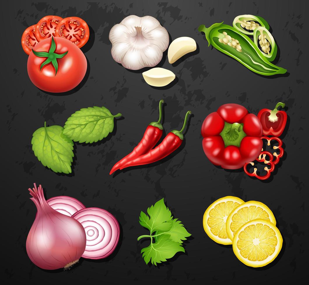 Set of vegetables and herbs vector