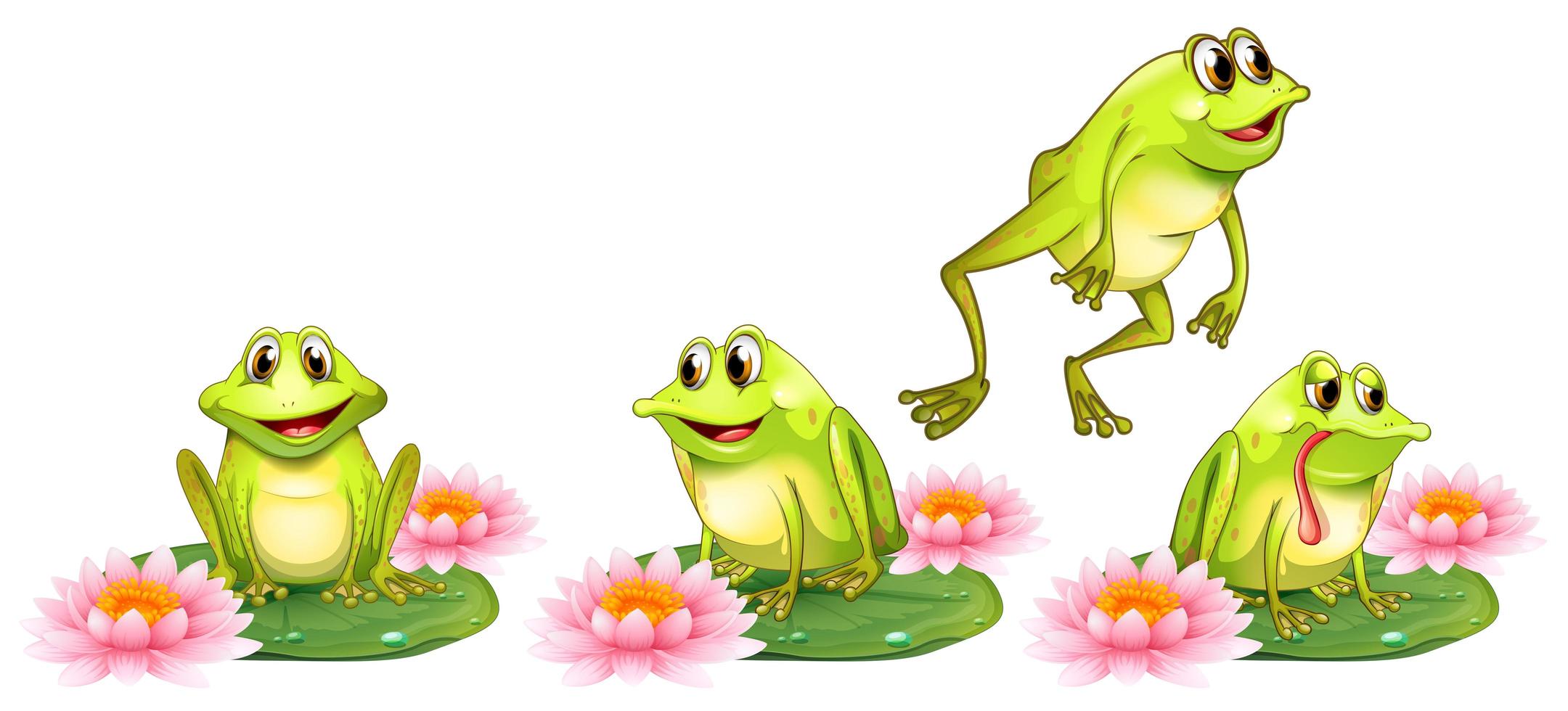 Four green frogs on water lily set vector