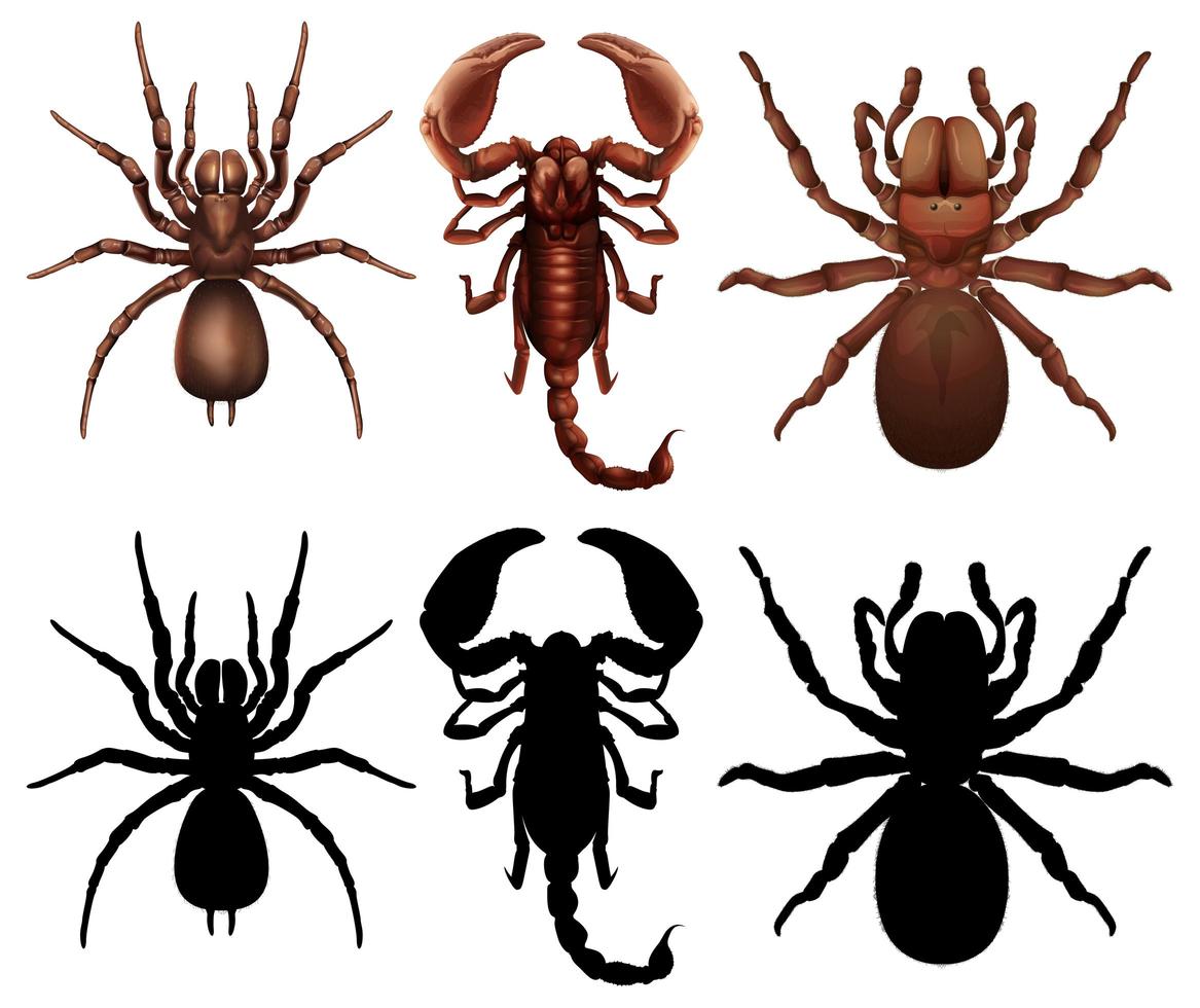 Set of different bugs vector
